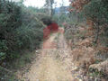 -290752948_6caf400d-4933-47b9-90f8-289f5d5885cb.jpg