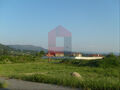 -290753378_4dd13ff1-7ade-414a-8afa-cfb3dcf0f48a.jpg