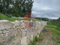 -290786391_2cd46e16-aafc-449a-8daa-a6b83223381a.jpg