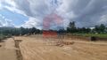 -290876208_2f5326e7-2c78-4611-80c5-4755c7fd39a7.jpg