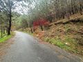 -290930110_73054691-c7bc-465b-9a02-d240d020466b.jpg