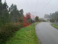 -290955980_3eabee79-1078-4872-8856-435b77459e98.jpg