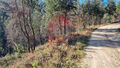 -290962571_93dbbb4b-875a-43cb-ab40-de4a9ae66dfb.jpg