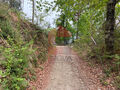 -290991525_813caeb1-84a3-4e8a-b7ed-d20cab0cde64.jpg