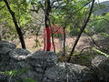 -291064832_dd59eded-9502-4492-83ac-dbe3fa235383.jpg