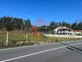 -291194408_21b6eea6-edda-47b8-9186-7bd49ca15d17.jpg