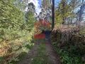 -291224169_9d7ea769-7bcb-4bd4-a3e1-ba35e3523a71.jpg