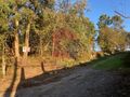 -291228068_7a5bd4ba-8723-47b5-aedc-00fee30010f8.jpg