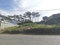 -212976104_ID34cf9a01-0000-0500-0000-000015845bd4.jpg