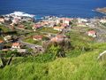 Venda Terreno com 586m2 Porto Moniz - vista mar
