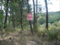 Venda Terreno com 7000m2 Covilhã - viabilidade de construção
