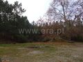Terreno com 93218m2 Tortosendo Covilhã à venda - viabilidade de construção, electricidade, água