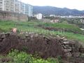 Para venda Terreno Urbano com 4000m2 Covilhã - viabilidade de construção, água