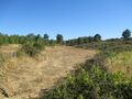 Venda de Terreno com 7500m2 Bendada Sabugal - electricidade, regadio, oliveiras, excelente acesso