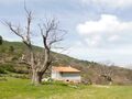 небольшая усадьба V0 Vila do Carvalho Covilhã Продажа - вода