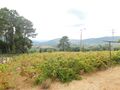 Terreno Agrícola com 17870m2 Belmonte para venda - barracão, electricidade