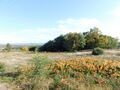 Venda de Terreno com 2800m2 Teixoso Covilhã - furo