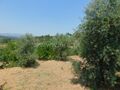 À venda Terreno com 2200m2 Ourondo Covilhã - oliveiras, electricidade, garagem