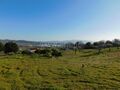 -611369442_lote-covilha-tortosendo_14_1_1369442_17468982_2_1_cliU5kerhYsWXtbK5EeIi2kq6bstNHN9bViUsT_2bLi4PEB8h4ZPpqcw_.jpg