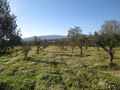 À venda Terreno com 2500m2 Póvoa da Atalaia Fundão - poço, árvores de fruto, oliveiras
