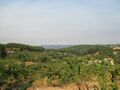 Terreno com 12000m2 Alcaide Fundão à venda - árvores de fruto, bons acessos, electricidade