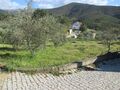 Terreno com 4000m2 para venda Souto da Casa Fundão - árvores de fruto