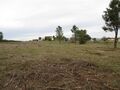 Venda de Terreno plano Enxames Fundão - furo