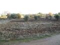 Terreno com 5000m2 à venda Enxames Fundão - água, regadio