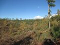 Terreno com 30000m2 Enxames Fundão à venda