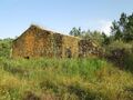 Terreno com 15000m2 Enxames Fundão para comprar