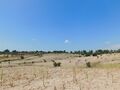 À venda Terreno com 210000m2 Orca Fundão - bons acessos, árvores de fruto