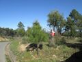 Terreno com 7000m2 Telhado Fundão para venda - água