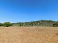 Venda Terreno com 80000m2 Póvoa da Palhaça Fundão