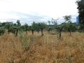 Para venda Terreno com 3145m2 Soalheira Fundão - água