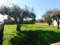À venda Lote com 1250m2 Soalheira Fundão - bons acessos, viabilidade de construção, árvores de fruto