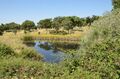 Venda de Terreno com 19700m2 Martianas Orca Fundão - oliveiras, água, árvores de fruto, poço