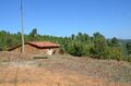 Farm to recover for sale Enxames Fundão - electricity, water, good access, fruit trees