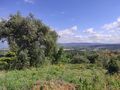 Terreno com 1300m2 Alcaide Fundão à venda