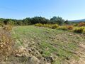 Terreno Agrícola com 9000m2 para venda Pêro Viseu Fundão