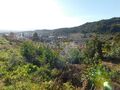 Terreno com 16000m2 Pêro Viseu Fundão para venda