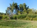 Terreno com 3200m2 à venda Alcaide Fundão - tanque, água, poço