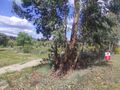 Terreno com 3250m2 à venda Orca Fundão - água, bons acessos, barracão, poço, árvores de fruto