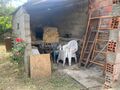 -611328096_moradia-em-banda-fundao-silvares_14_1_1328096_16392886_2_1_xttnxRSPrZ_2beBLRz7_2fXY7PSFRjE77XUFs7IHlFj3PUfEB8h4ZPpqcw_.jpg