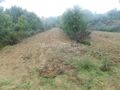 -611468096_terreno-rustico-fundao-vales-pero-viseu_14_1_1468096_17951090_2_1_tDq7bPK_2fkvEDAT4vUQlG2cXEBnlrvk1Zh3urOAuB9CbEB8h4ZPpqcw_.jpg