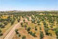 -205307333_IDf3b30a01-0000-0500-0000-0000136532f3.jpg