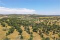 -205307333_IDf3b30a01-0000-0500-0000-0000136532f4.jpg