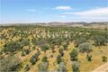 -205307333_IDf3b30a01-0000-0500-0000-0000136532f6.jpg