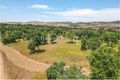 -205307333_IDf3b30a01-0000-0500-0000-0000136532f8.jpg