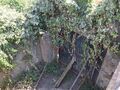 -210295640_ID9ef96901-0000-0500-0000-000012a6f771.JPG