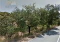 -208028726_IDa3368d00-0000-0500-0000-000004c054d9.JPG